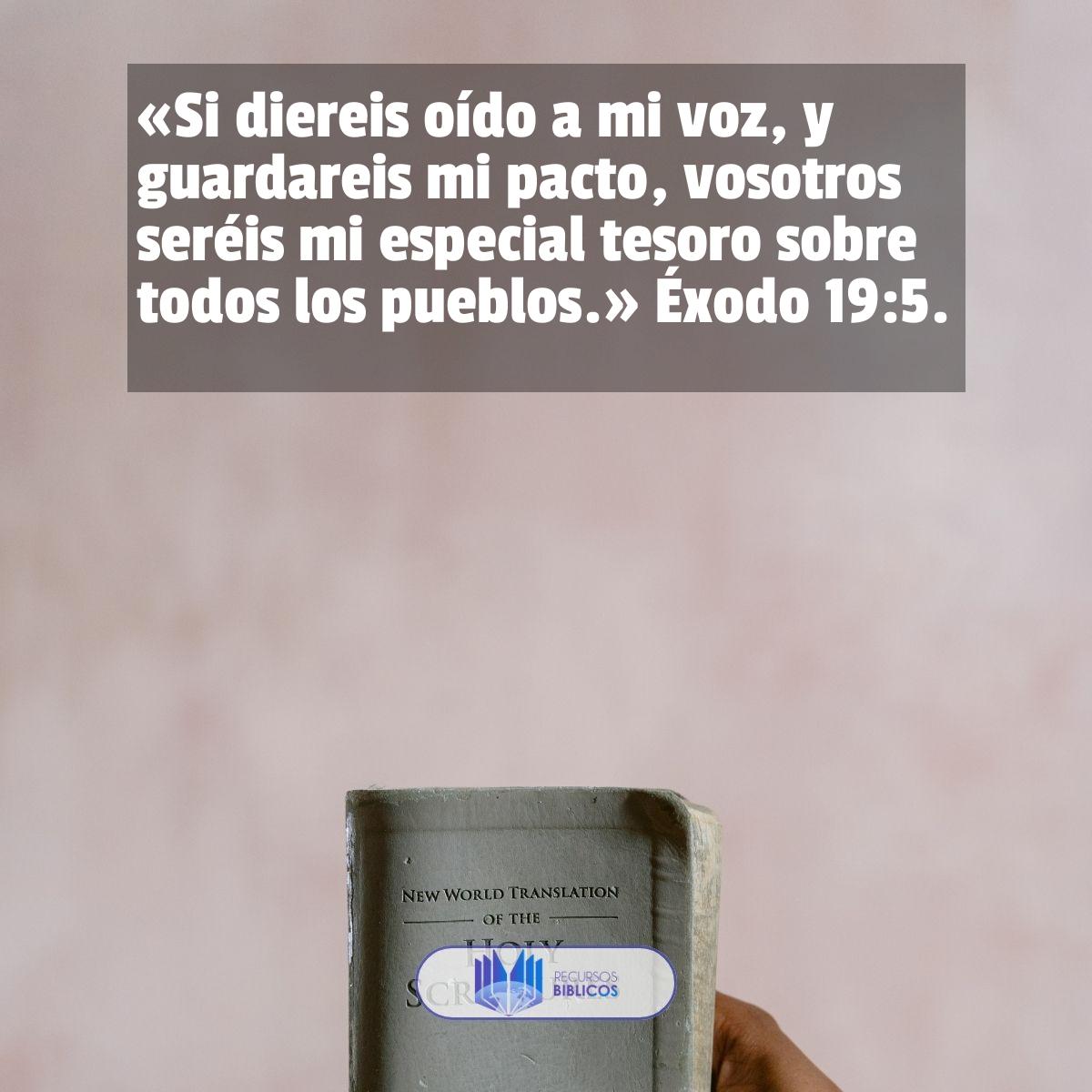 Versículo del día