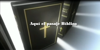 bible, anmation bible