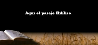 biblia, video biblia