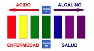 La Causa de todas las Enfermedades – La causa del cancer