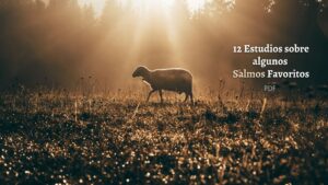 12 Estudios sobre algunos Salmos Favoritos