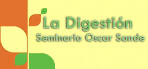 La Digestión – Seminario Oscar Sande