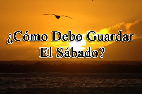 ¿Cómo Debo Guardar El Sábado?