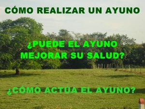 Cómo Realizar un Ayuno