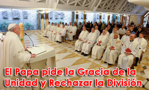 El Papa pide la Gracia de la Unidad y Rechazar la División