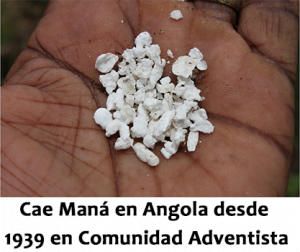 Cae Maná en Angola desde 1939 en Comunidad Adventista