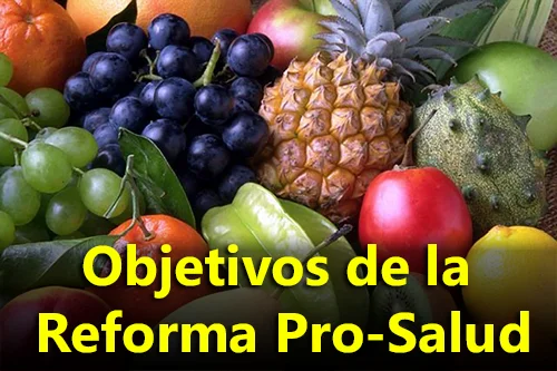 Objetivos de la Reforma Pro-Salud - Powerpoint