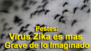 Pestes: Virus Zika es mas Grave de lo Imaginado