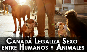 Canadá Legaliza Sexo entre Humanos y Animales