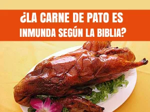 ¿La carne de pato es inmunda según la Biblia?