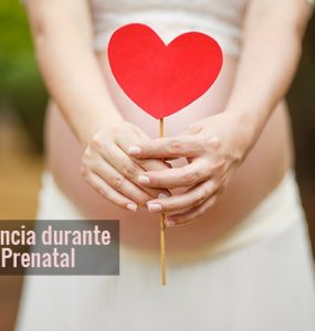 La influencia durante la etapa Prenatal