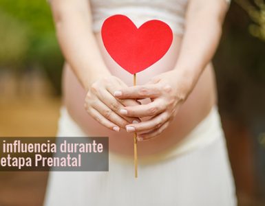 La influencia durante la etapa Prenatal