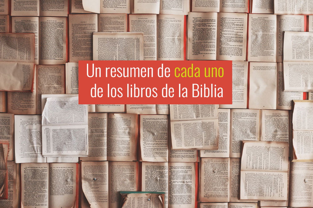 los-libros-de-la-Biblia