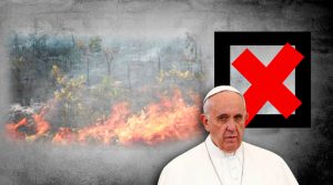 El papa Francisco propone el «pecado ecológico»
