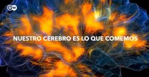 Documental: Nuestro cerebro es lo que comemos