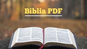 La Santa Biblia en PDF con índice de búsqueda