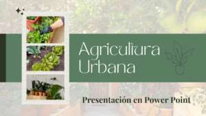 Agricultura Urbana-Presentación en Power Point