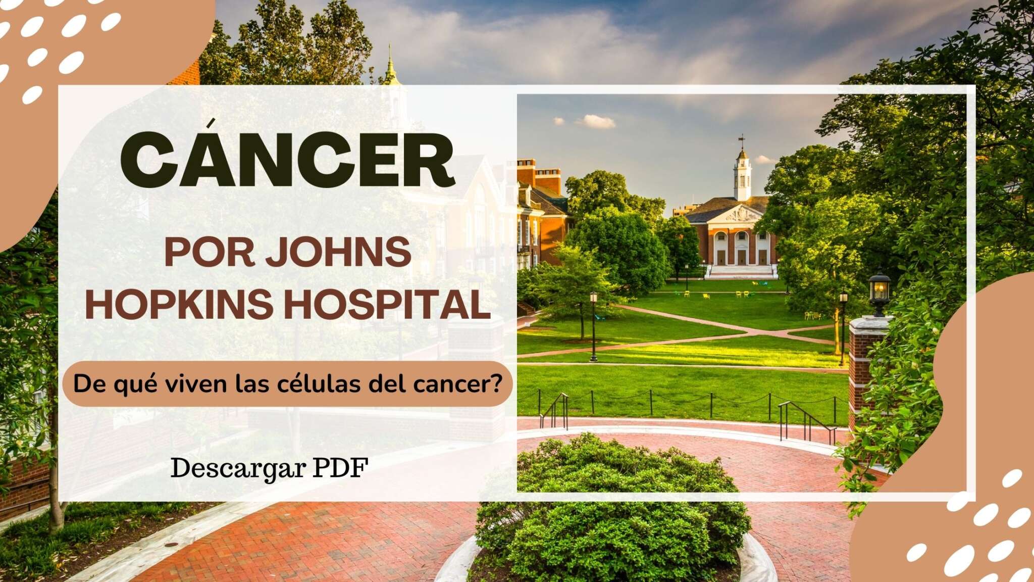 Cáncer por John Hopkins Hospital ¿De que viven las células del Cáncer