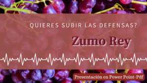 ¿Quieres subir las defensas? Zumo Rey | Ppt-Pdf