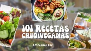 101 Recetas Crudivegana- Para Solucionarte la Vida-Pdf